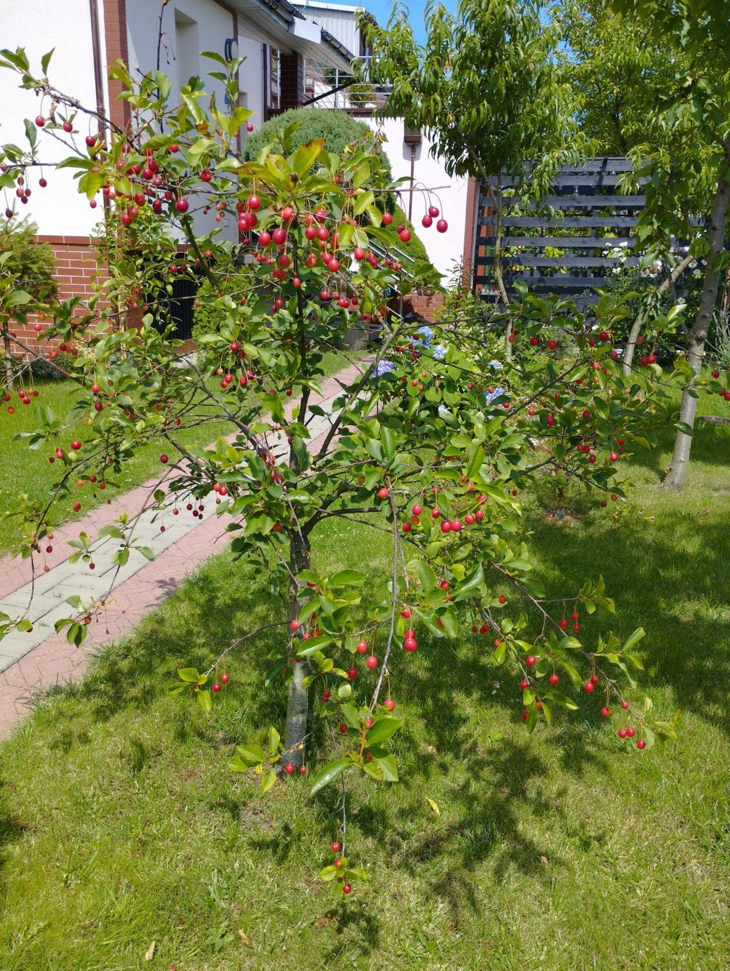 Taka Cisza Taki Spokoj Kołobrzeg Exterior foto
